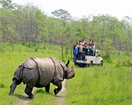 chitwan-national-park-tour.